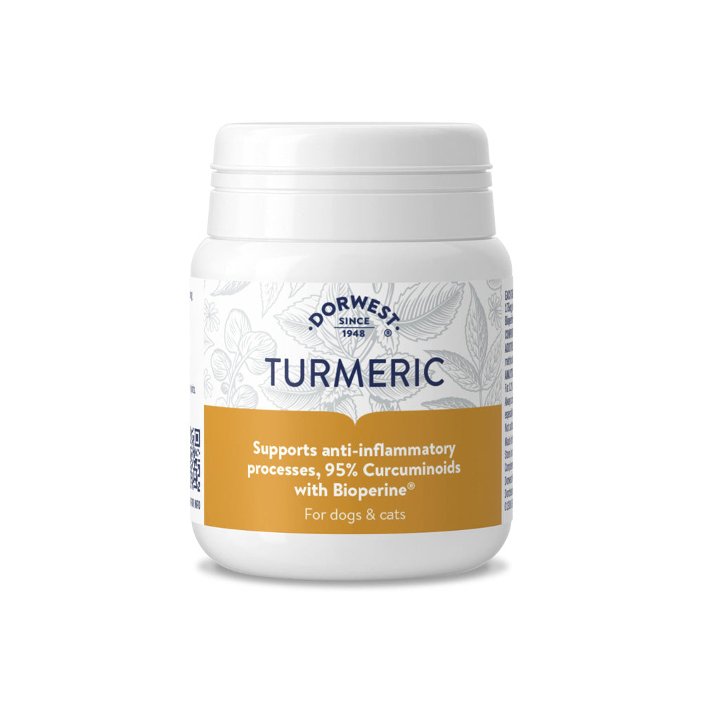Dorwest Kurkuma Tabletten für Hunde und Katzen zur Unterstützung bei Gelenkproblemen und Steifheit.