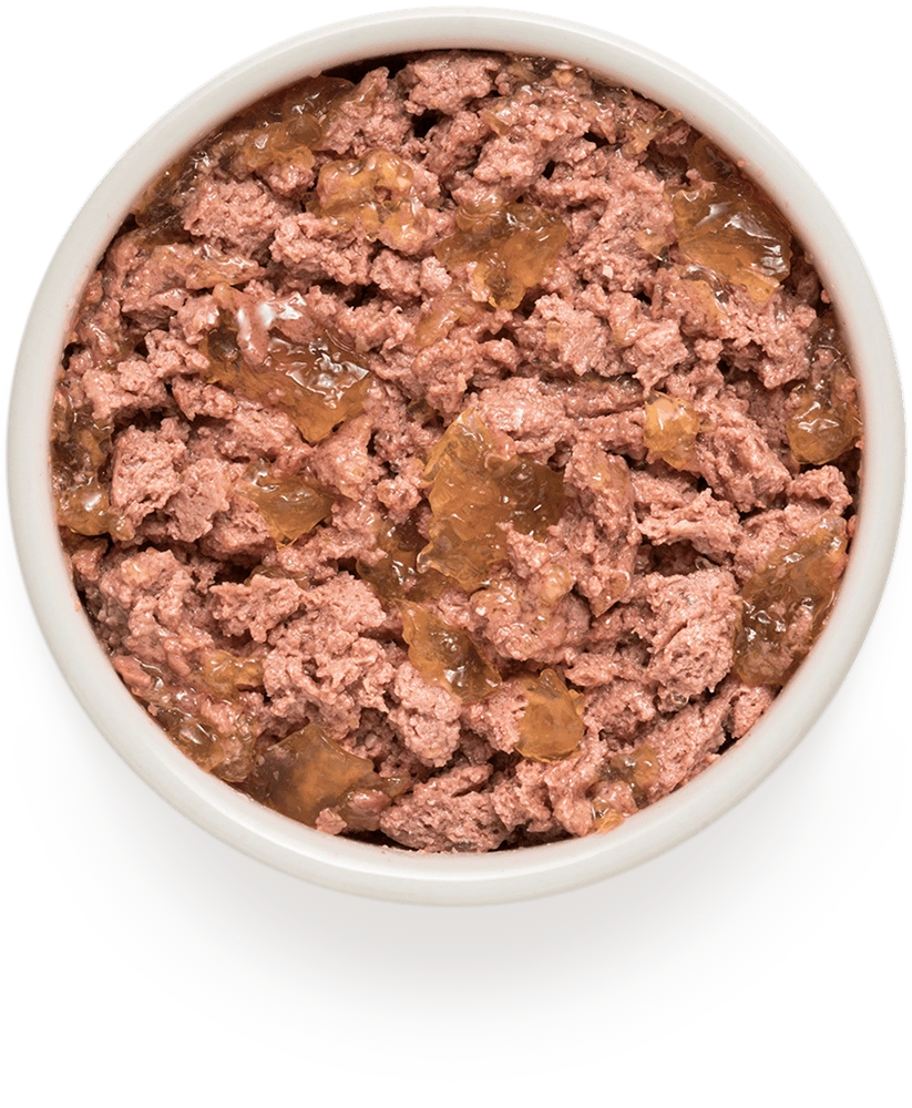 Hypoallergenes Nassfutter "Lamm & Pute" für ausgewachsene Hunde aller Rassen