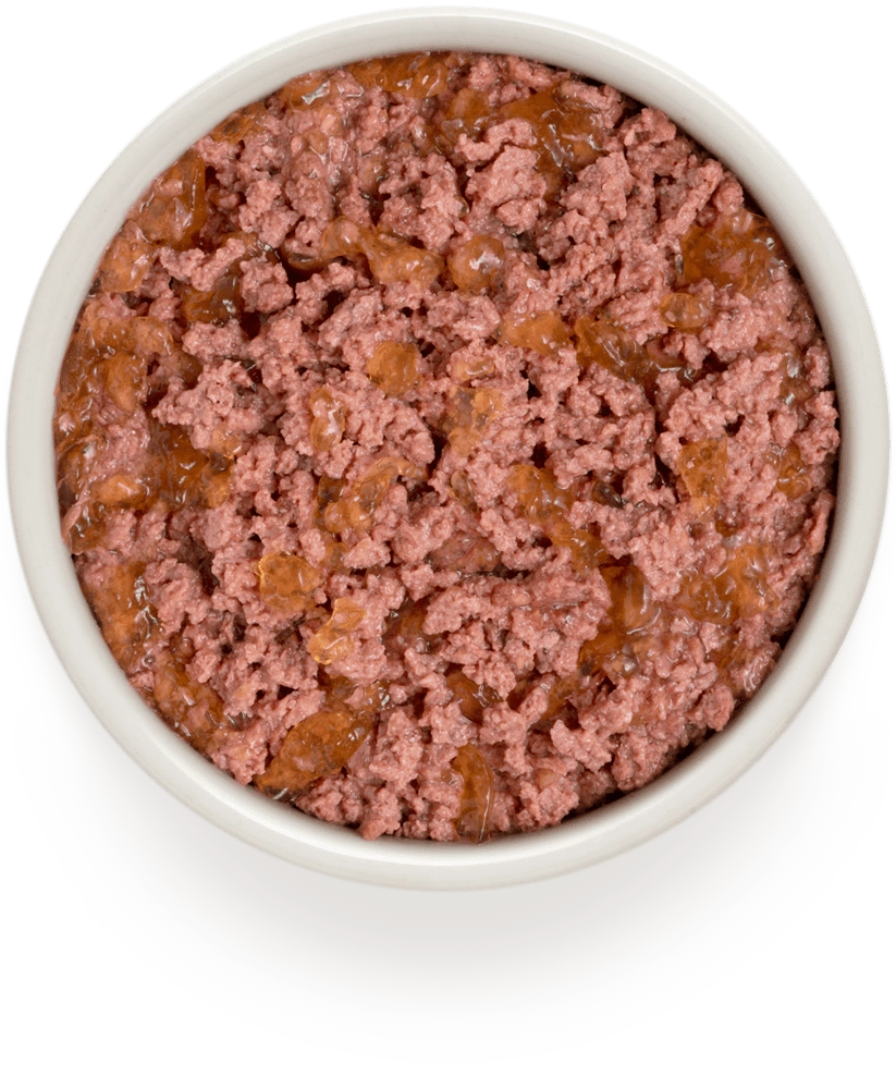 Hypoallergenes Nassfutter "Rind & Pute" für ausgewachsene Hunde aller Rassen
