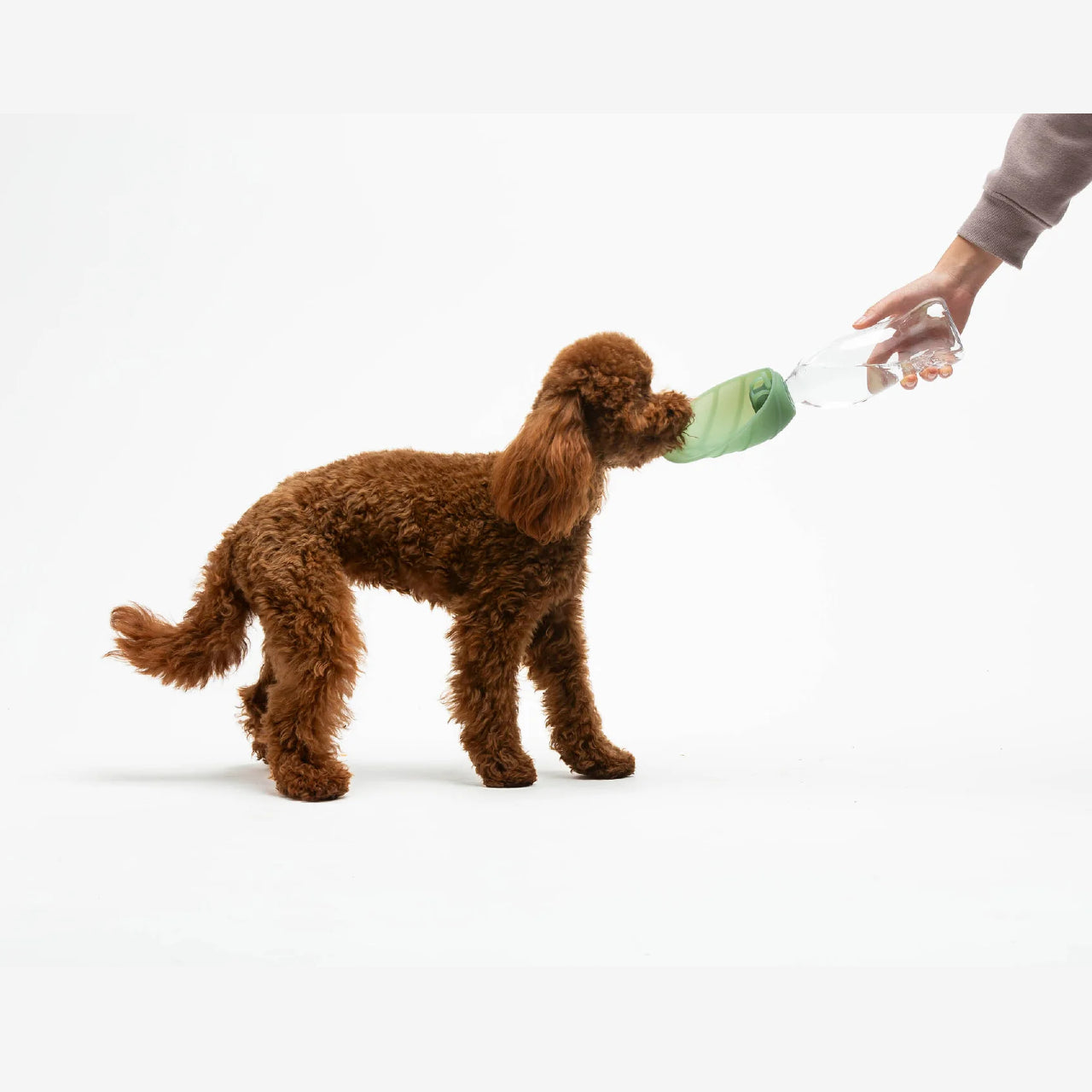 2-in-1 Hundetrinkflasche "Leaf" in Rosa von United Pets