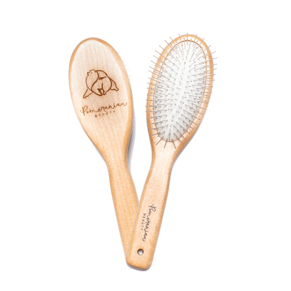 ilfe bei verfilztem Fell: Pom Beauty Pflegebürste für Zwergspitze entwirrt dichtes Pomeranian-Unterfell schonend und beugt neuen Knoten effektiv vor.