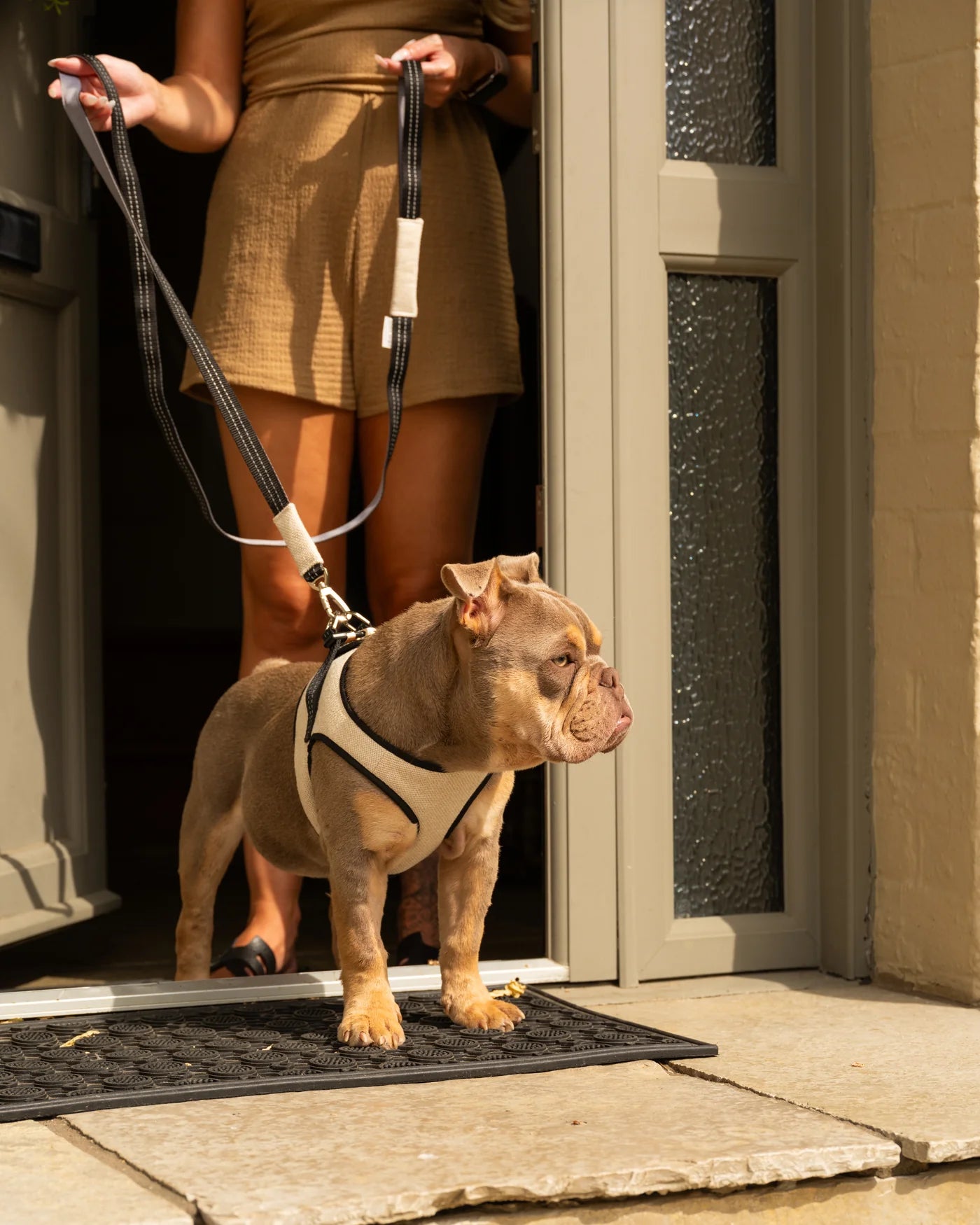Mayfair Geschirr in Beige von SohoPoms X Bowl & Bone