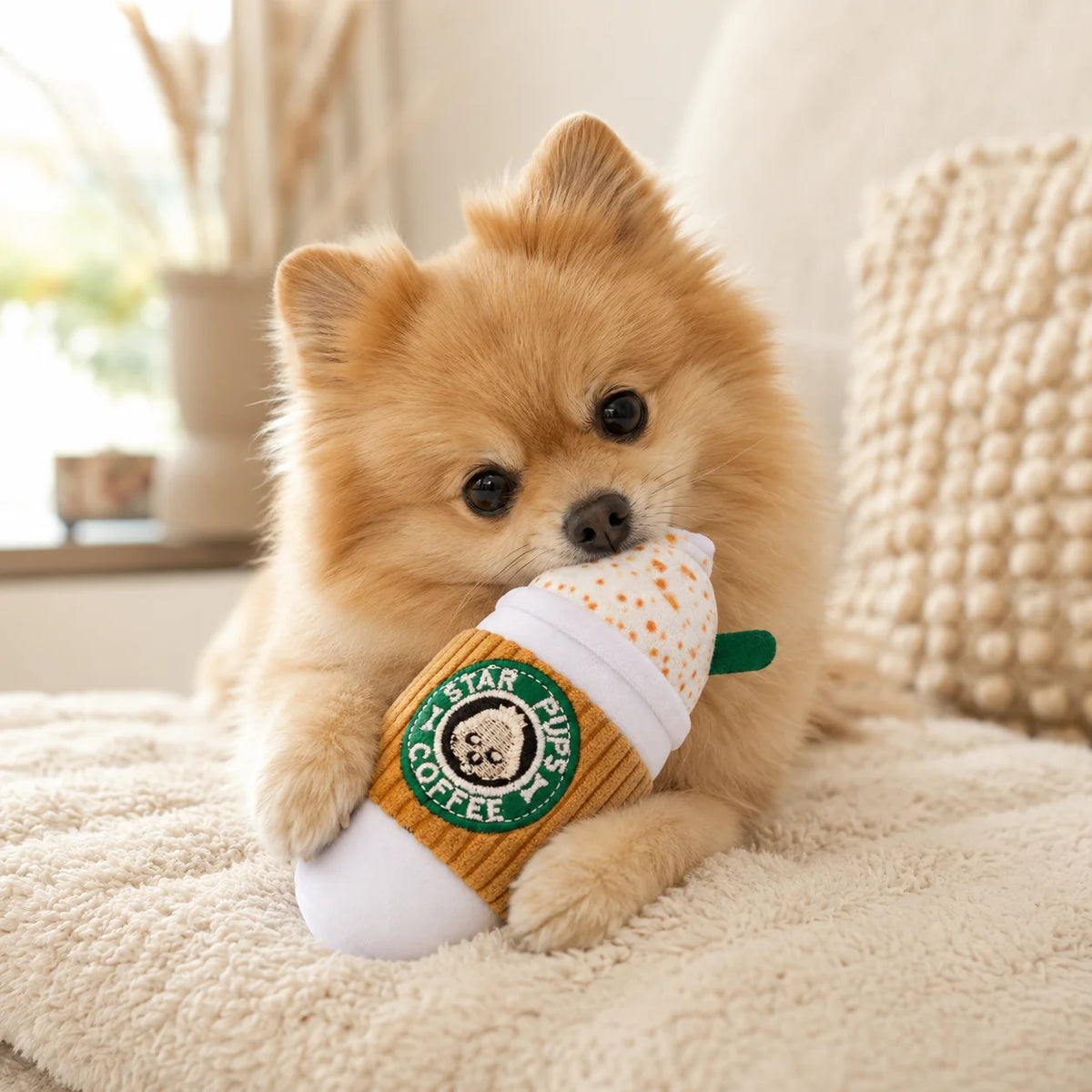 Star Pups Eiskaffee Plüsch-Hundespielzeug von Pom d'Azur