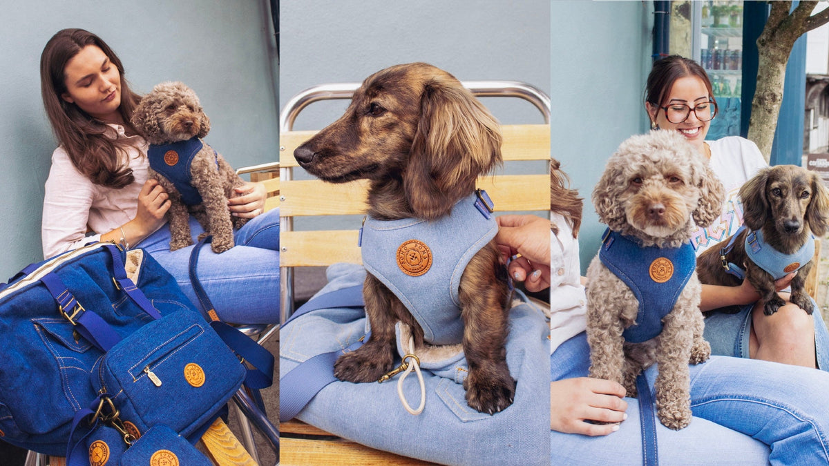 Herbstspaziergänge im Denim-Look: Die neue „The Frith“ Kollektion für dich und deinen Hund