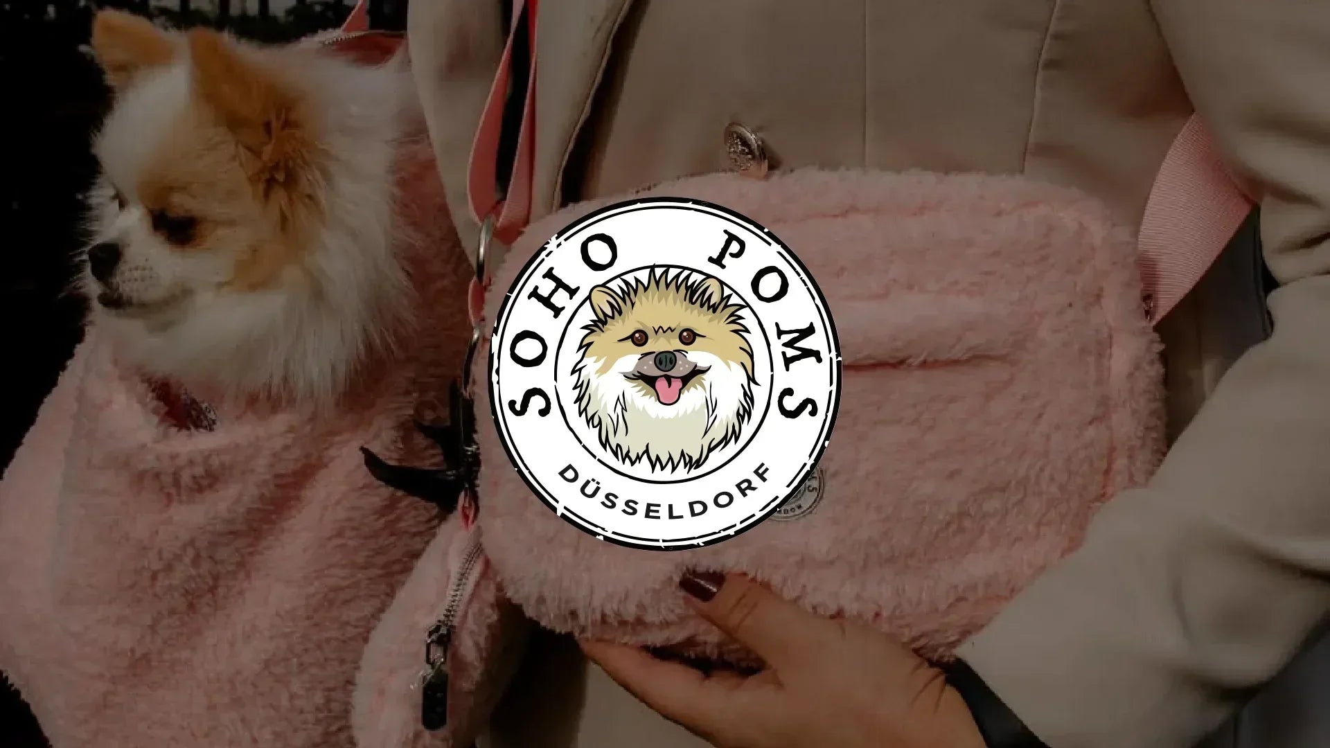 Flauschiges rosa Hunde-Set (Tasche & Accessoire) mit Pomeranian in London. Teddy Bär Kollektion von Soho Poms. Hundetragetasche und Gassi-Tasche in rosa. In der Tasche ein Pomeranian. Zentral in der Mitte das Logo von Soho Poms DE.