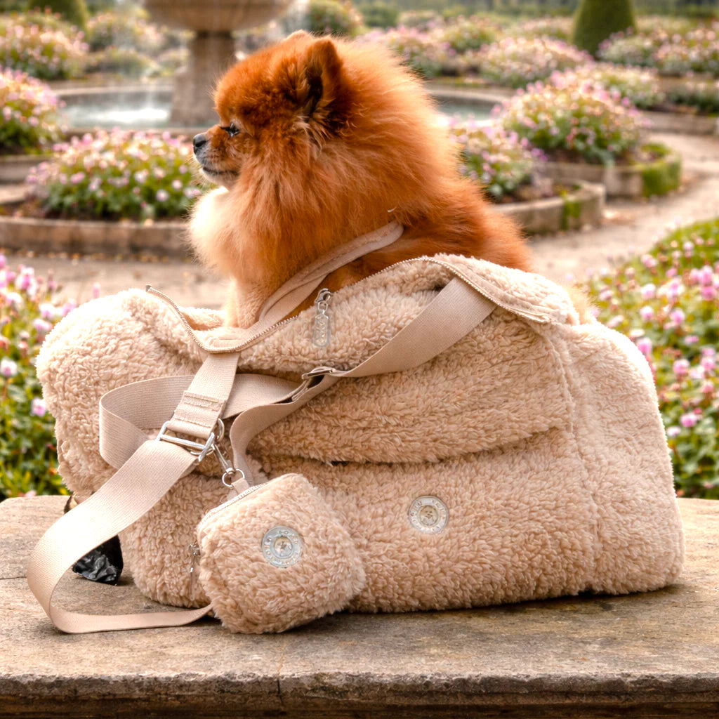 Teddy Bär Hundetragetasche in Beige von SohoPoms