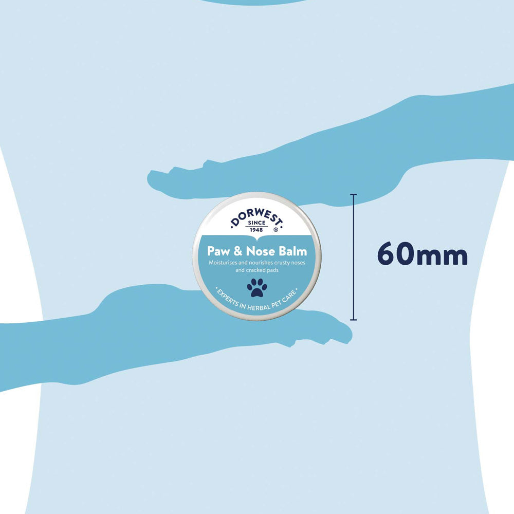 Infografik zur Größe der Dorwest Pfotenbalsam Dose mit einem Durchmesser von 60mm.