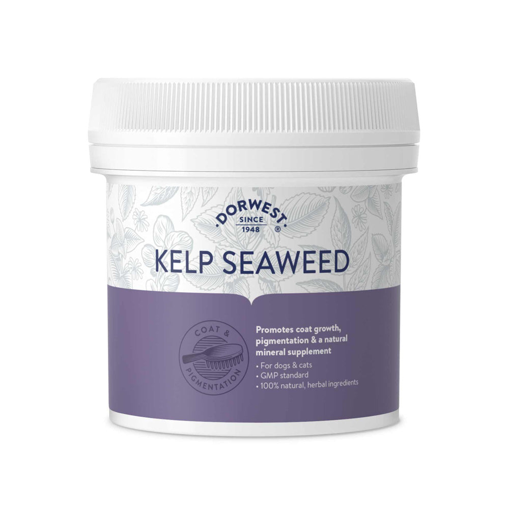 Dorwest Seealgen-Pulver (Kelp Seaweed) für Hunde und Katzen zur Förderung von Fellwachstum und starker Pigmentierung.