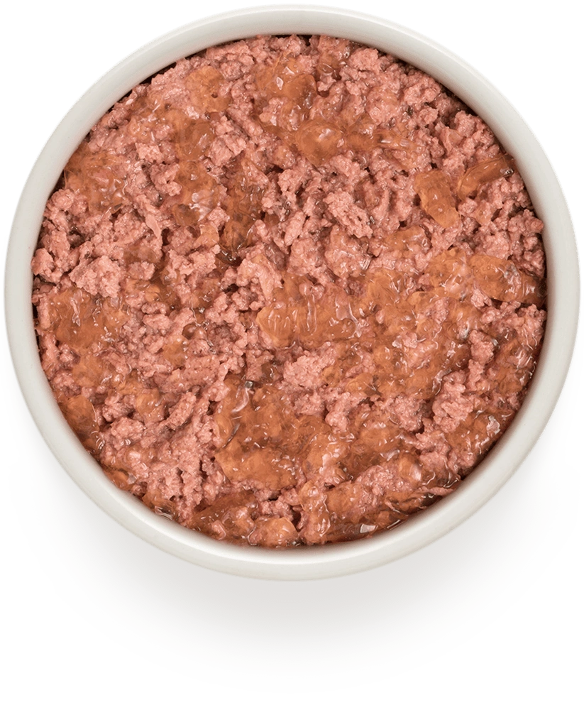 Hypoallergenes Nassfutter “Kalb & Pute“ für ausgewachsene Hunde aller Rassen von Grandorf