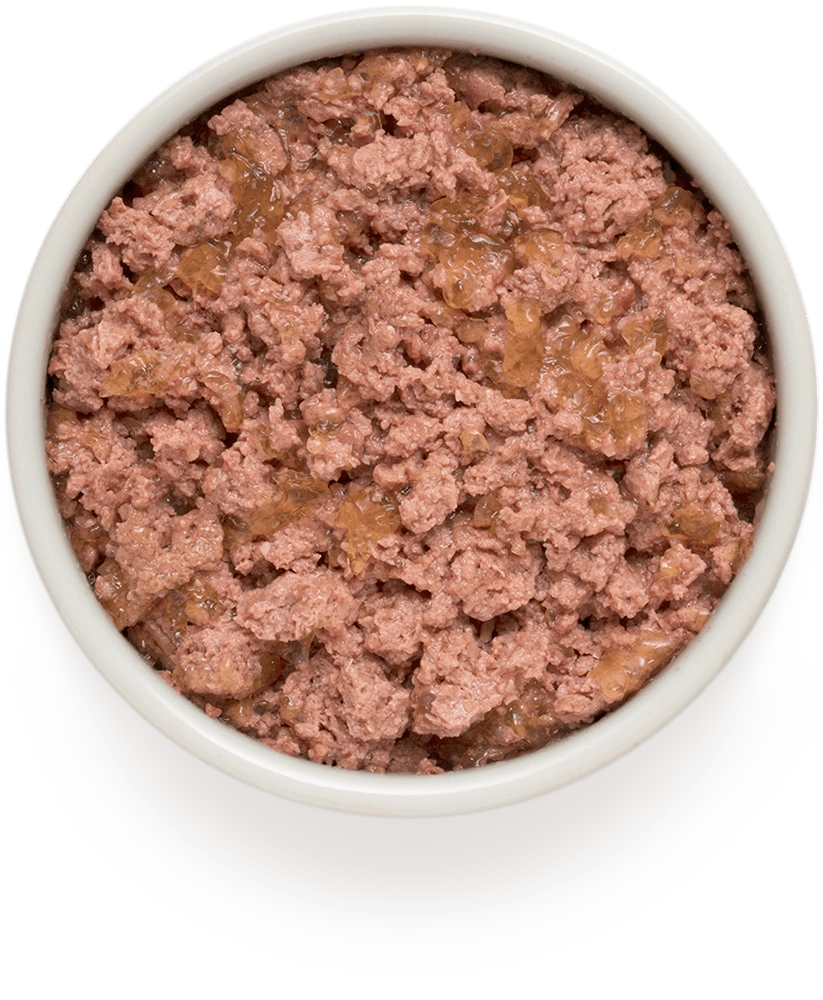 Hypoallergenes Welpen-Nassfutter "Lamm & Pute" von Grandorf