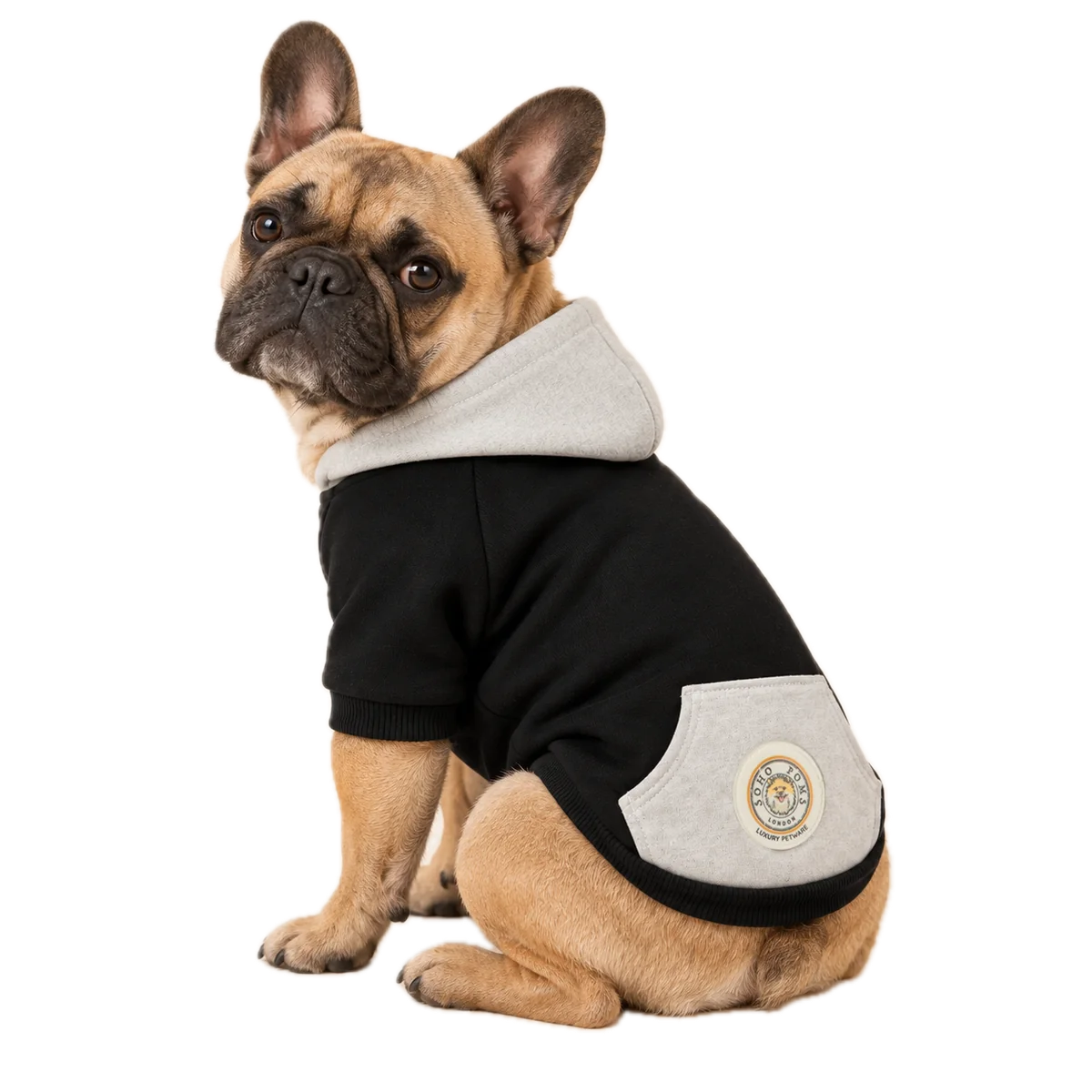 Hundepullover in Schwarz von SohoPoms