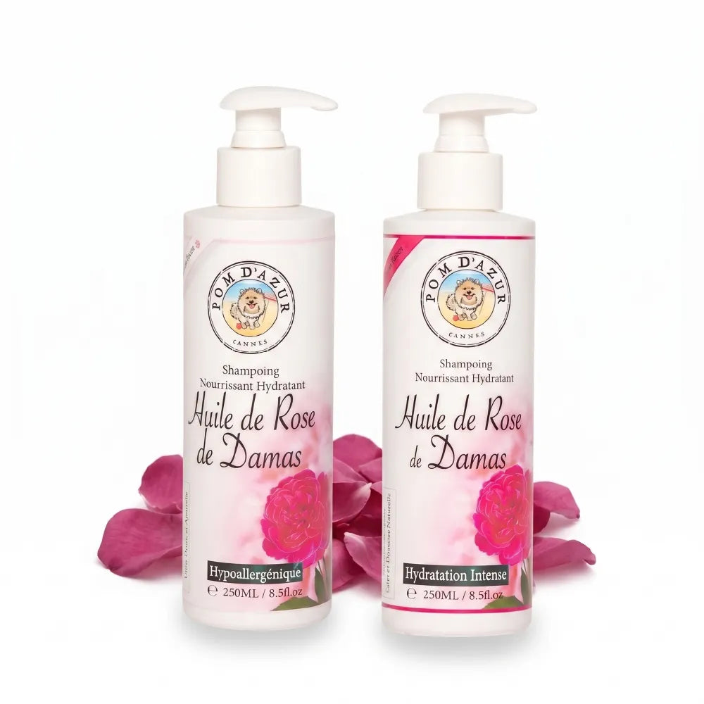 Pom d'Azur Glanz-Shampoo mit Damaszener Rose für Hunde – Produktansicht beider Varianten: Hypoallergen & Hydration Intense vor Rosenblättern.