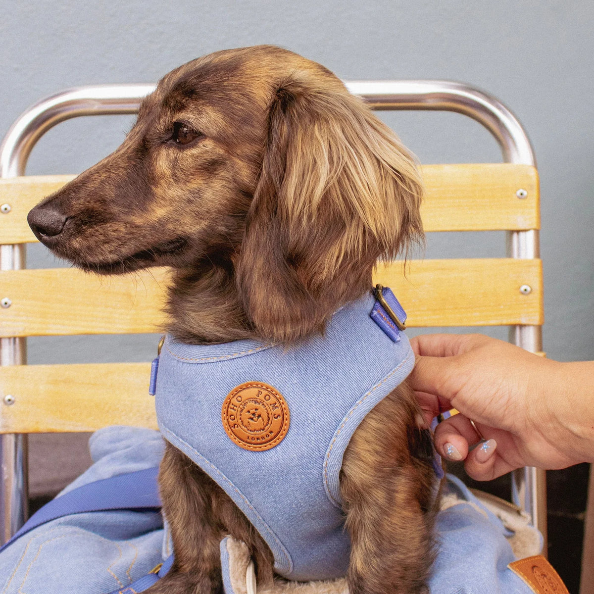 The Frith Denim Hundegeschirr "Vintage Wash" von SohoPoms